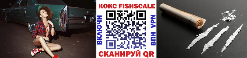 darknet состав  наркотики  mega маркетплейс  Каменка  COCAIN Fish Scale 