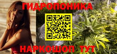стаф Коммунар