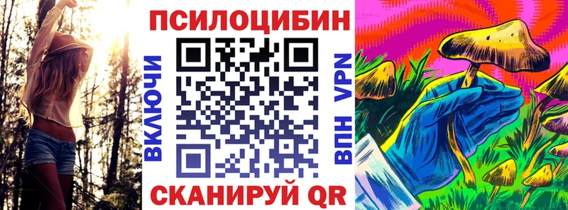 Галлюциногенные грибы MAGIC MUSHROOMS  Каменка 