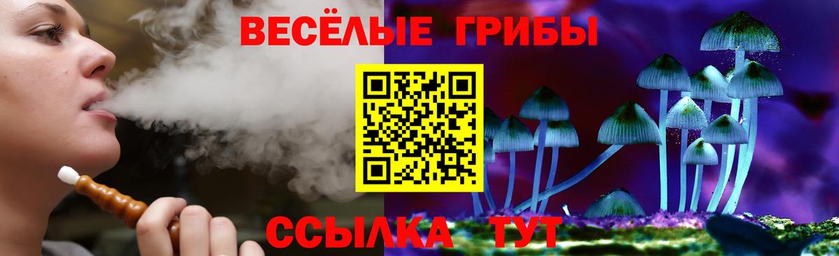 как найти закладки  Псилоцибиновые грибы прущие грибы  Вход с VPN  Каменка 